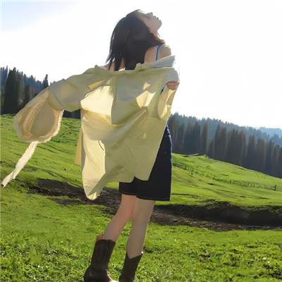 行骗高手